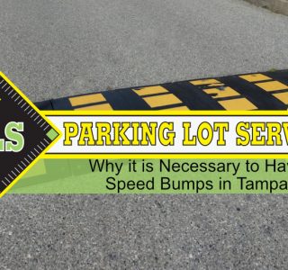 necessary-speed-bumps-tampa-real
