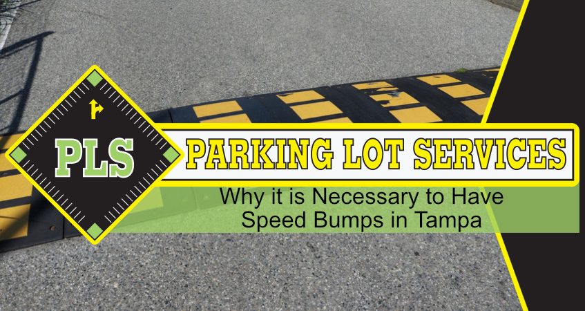 necessary-speed-bumps-tampa-real