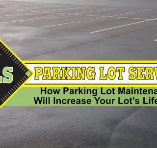 parking-lot-maintenance-tampa-years