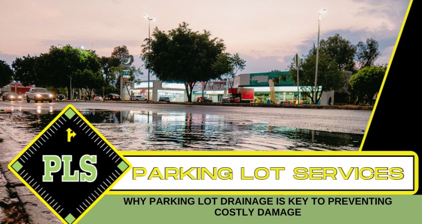 Why Parking Lot Drainage Prevents Costly Damage